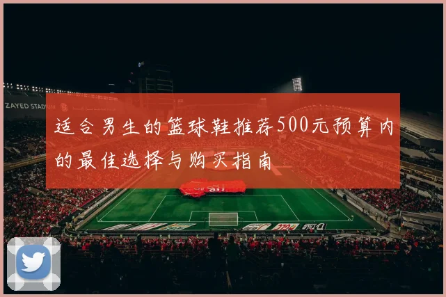 适合男生的篮球鞋推荐500元预算内的最佳选择与购买指南
