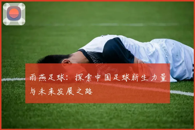 雨燕足球：探索中国足球新生力量与未来发展之路