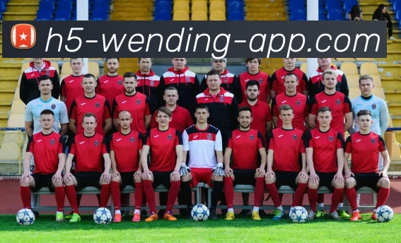 多媒体互动体验